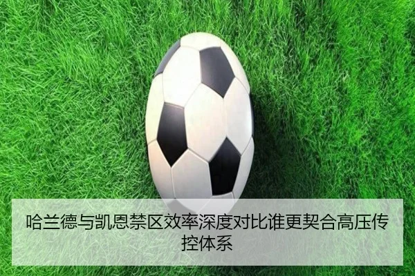 哈兰德与凯恩禁区效率深度对比谁更契合高压传控体系